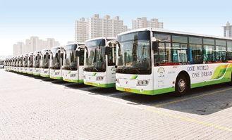 青岛公交车爆料新闻最新消息,乘客安全事件引发社会关注