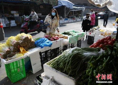 兰州菜市场最新爆料信息,探寻地道美食与民生百态
